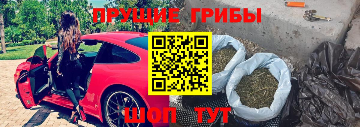 Галлюциногенные грибы MAGIC MUSHROOMS  Псилоцибиновые грибы мухоморы  Вход с VPN  Алушта 